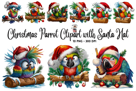 Christmas Parrot Clipart: Festive Illustrations