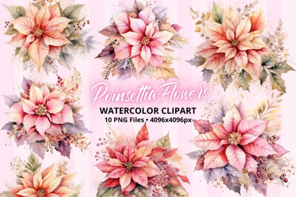Review: Christmas Poinsettia Flowers ClipArt PNG & Illustrations